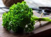 خواص سبزی خوش‌بو برای سلامت کلیه‌ها