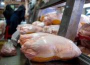آخرین قیمت مرغ در بازار