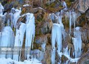 عکس/ آبشار یخ زده « سردابه» اردبیل