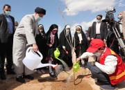کاشت درخت توسط رئیس جمهور در روز درختکاری/ آغاز بهره‌برداری از پروژه یک‌هزار و ۲۵۰ هکتار جنگل‌کاری در اطراف شهر تهران