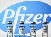 شرکت‌های فایزر و مادرنا حاضر به فروش واکسن به پایتخت هند نشدند