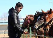 عکس/ اسب نیم میلیون دلاری سردار آزمون