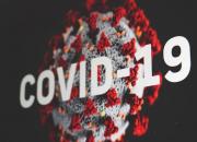 ابتلای بیش از ۱۱۹۰۰۰ آمریکایی به کرونا در ۲۴ ساعت گذشته +جدول