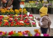 عکس/ بازار گل اصفهان در آستانه نوروز