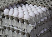 قیمت واقعی هر شانه تخم مرغ ۳۶هزار تومان است