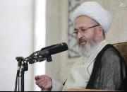 درخواست آیت‌الله جعفر سبحانی از مسئولان برای مهار گرونی