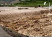 فیلم/ سیلاب شدید در کیسکان شهرستان بافت