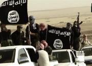 فیلم/ نقشه داعش برای حمله به آستان رضوی