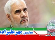 تخریب حزبی مهرعلیزاده توسط اصلاح طلبان!