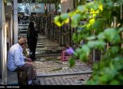 عکس/ غبار روبی مزار شهدا در بهشت زهرا(س)
