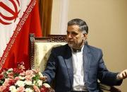 نقوی حسینی: دولت بسیاری از قوانین را اجرا نمی کند