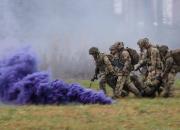 ارتش انگلیس کوچک می‌شود