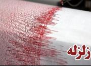 انبارالوم لرزید