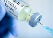 دز یادآور واکسن پاستوکووک به بزرگسالان تزریق می‌شود