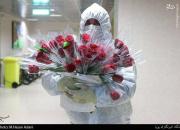 توزیع اقلام خوراکی توسط همسر شهدای مدافع حرم در بیمارستان های تهران