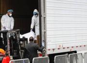 کشف اجساد در کامیون‌ها و نگهداری با قالب‌های یخ در نیویورک