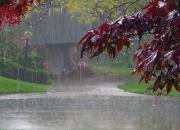 ثبت رکورد کم‌سابقه 177 میلی‌متر باران در رودسر