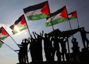 پرچم فلسطین در کاخ بلقیس+ عکس