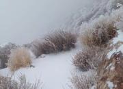 تصاویری زیبا از بارش برف در کوه‌های اطراف خاش