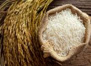 قیمت برنج خارجی آزاد و رقابتی می‌شود