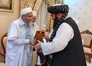 طالبان با عفو عمومی از تلفات بزرگ جلوگیری کرد
