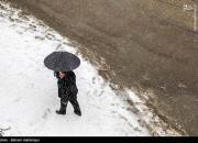 عکس/ بارش برف در اردبیل