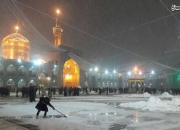 عکس/ آغاز بارش برف در مشهد مقدس