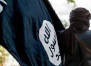 حشد الشعبی مسئول اطلاع رسانی داعش را دستگیر کرد