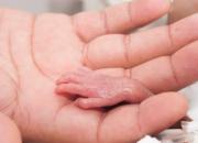 اسماعیلی: آمارهای مربوط به سقط جنین قابل اعتماد نیستند