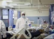 رشد ۱۲درصدی بیماران کرونایی بستری در تهران