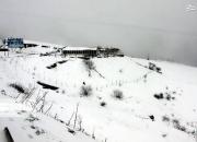 عکس/ بارش برف بهاری در آستارا