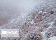 عکس/ بارش برف در ارتفاعات تفتان سیستان و بلوچستان
