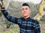 یک نوجوان فلسطینی دیگر از شهر «جنین» به شهادت رسید