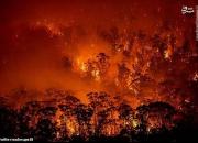 فیلم/ آتش‌سوزی گسترده در ایالت فلوریدا