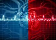 کاهش خطر ابتلا به بیماری قلبی با استفاده از هوش مصنوعی