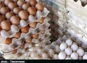 اعلام قیمت مصوب انواع تخم‌مرغ بسته‌بندی