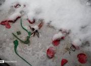 عکس/ بارش برف در گلزار شهدای بهشت زهرا(س)