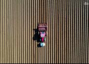 تصویر هوایی از زمین کاشت سیب زمینی