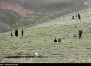 عکس/ لطفا در خانه بمانیم