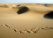 مقابله با گرمایش زمین به وسیله سیل راه انداختن در صحراها