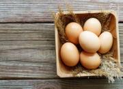 نکاتی برای نگهداری تخم‌مرغ