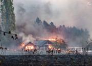 عکس/ آتش‌سوزی جنگلی در آرژانتین
