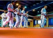 رد پای سر دسته جریان نفاق کاراته در دفتر یک مسئول