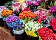 جزئیاتی از وضعیت بازار گل در آستانه روز زن
