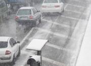 فیلم/ بارش سنگین برف در جاده کرج چالوس