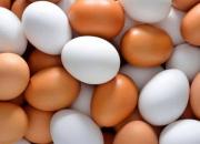 نرخ هر کیلو تخم مرغ، ۱۴ هزار تومان