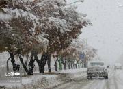 عکس/ بارش برف در فریدونشهر اصفهان