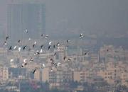 آلودگی هوا به تحریم ها ربطی ندارد