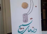 مجموعه نثرهای ادبی عبدالرحیم سعیدی راد در کتاب «دانه های تسبیح» منتشر شد