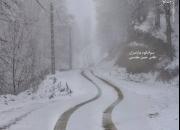 عکس/ مسیر رویایی برفی در سواد کوه